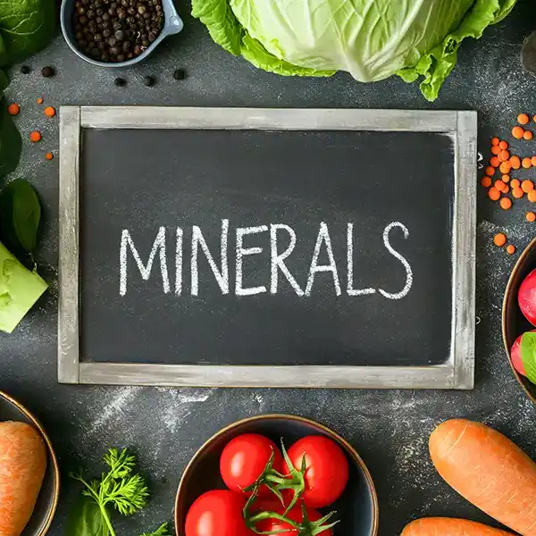 Minerals & Heavy Metals Minerals & Heavy Metals