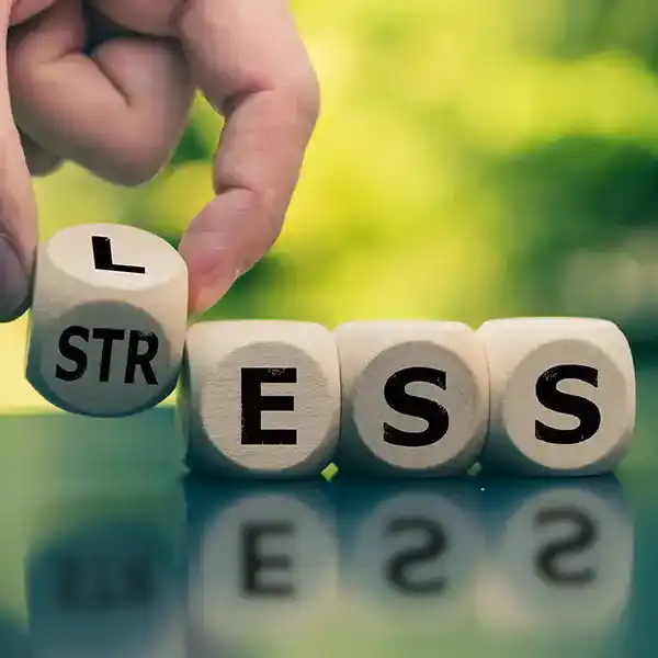 Stress, Mood & Metabolism Stress, Mood & Metabolism