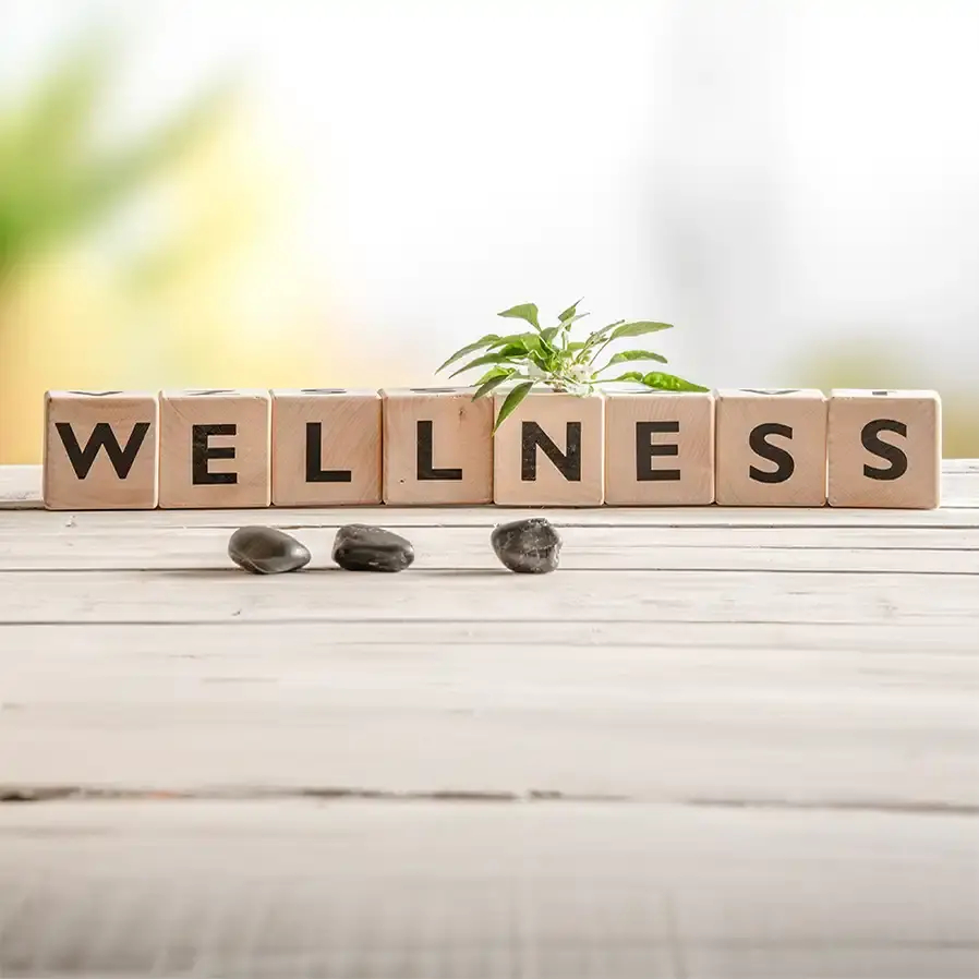 Wellness-with-rocks-homepage Wellness with Rocks - Home Page